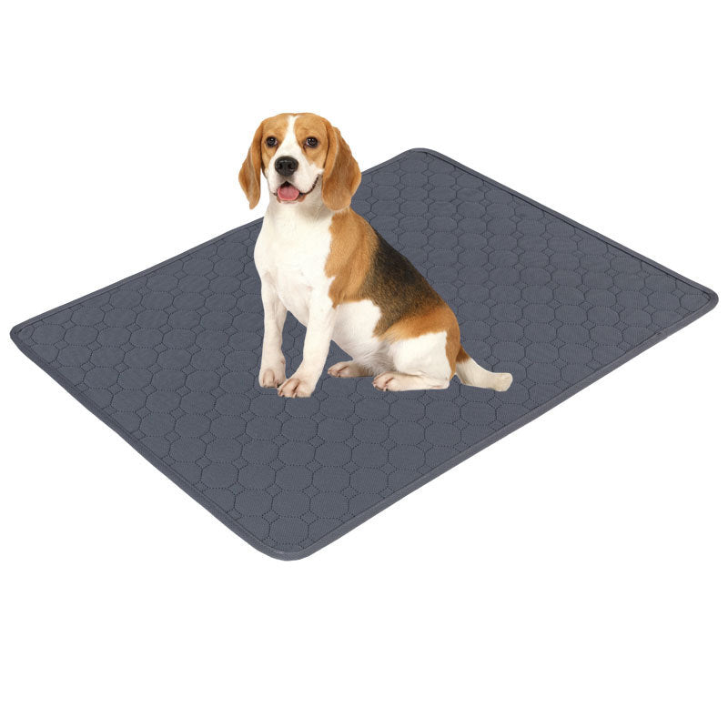 Pet Diaper