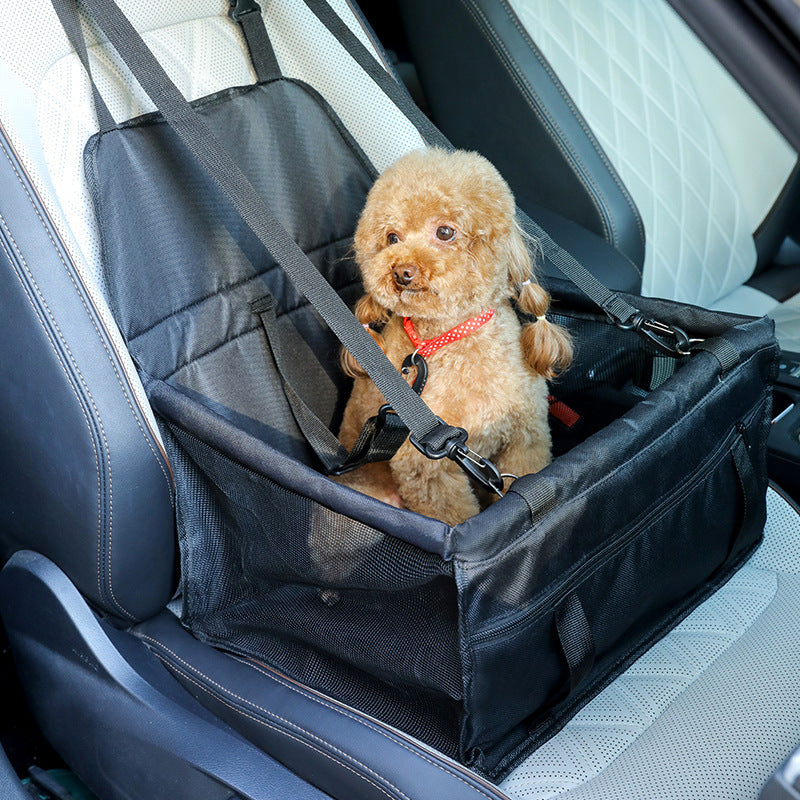 Car Pet Carrier