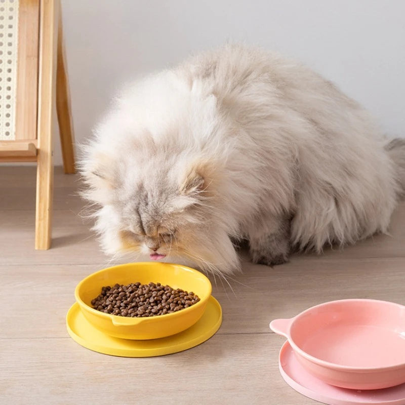 Pet meal mats